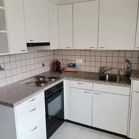 Apartment Neu Eingerichtete Im Haslital *
