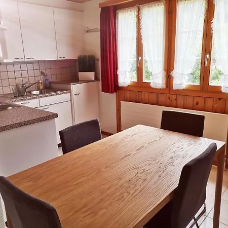 Neu Eingerichtete Im Haslital Apartment *