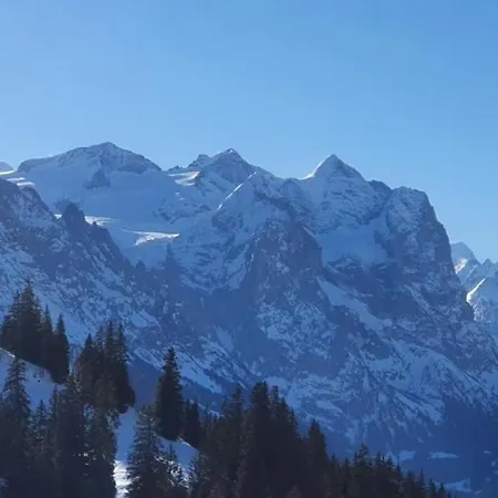 Daire Neu Eingerichtete Im Haslital